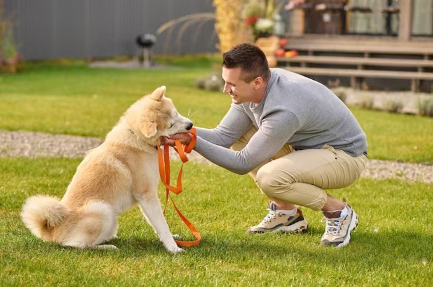 A man training his dog in the backyard